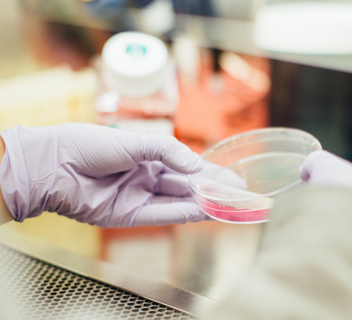 POWER MED DE MÉXICO S.A. DE C.V.